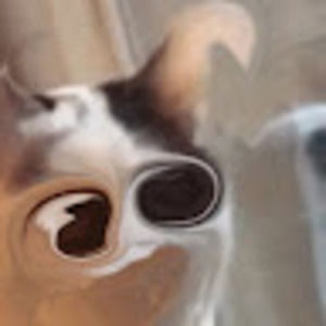 Meet your Posher, Minecraft